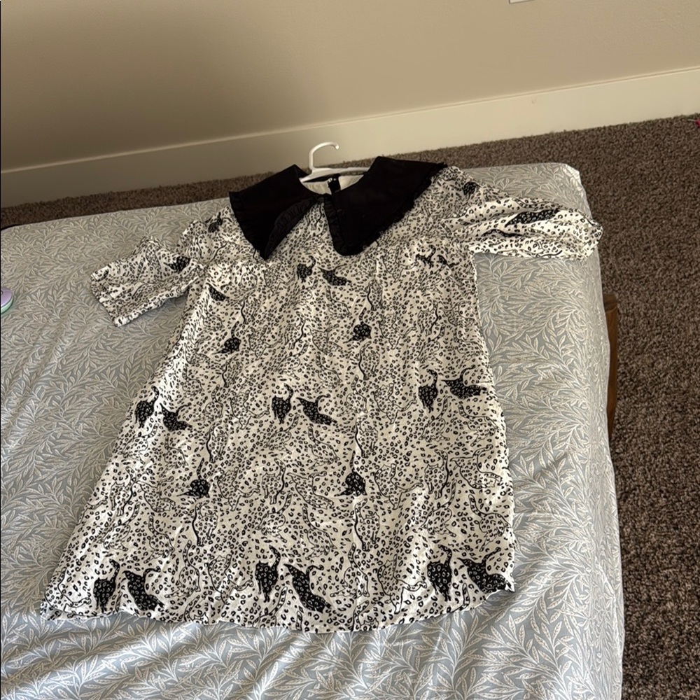 Charming Black and White Ted baker dress
